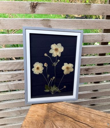 Anemone £30
