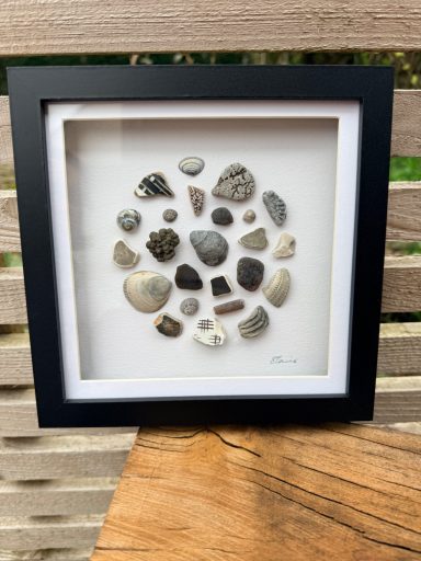 £45 Charmouth - Fossils and More
